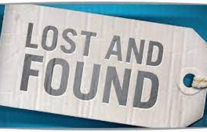 Lost and Found Tag