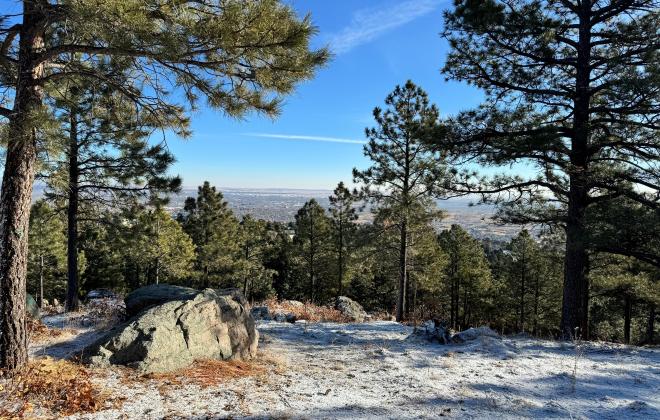 An overlook view of Fishers Canyon. The scenery is densely wooded and snowy.