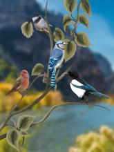 Digital artwork of four birds endemic to Colorado sitting on branches.